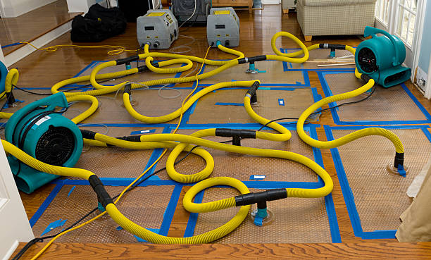 Professional Sewage Cleanup technician working in Solomon, KS